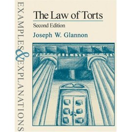 The Law of Torts: Examples and Explanations (Examples & Explanations Series)