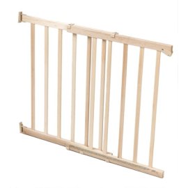 Secure Solutions Swing Gate