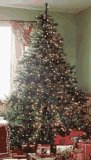 Artificial Christmas Tree Prelit Douglas Fir - 7.5ft H x 68in W