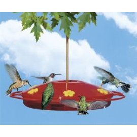 Perky Pet 221 Hummingbird Oasis Feeder, 16 oz capacity
