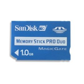 SanDisk 1 GB Memory Stick Pro Duo