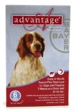 Advantage Canine 6 pack Red 21-55 lbs