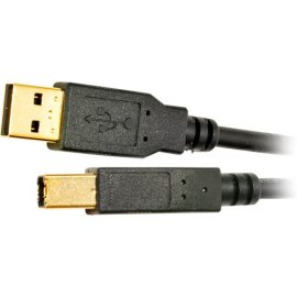 Tripp Lite USB 2.0 Cable USBa/USBb Gold Connectors (10 FT)