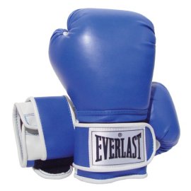 Everlast 2216 Pro Style Training Gloves (16 oz.)