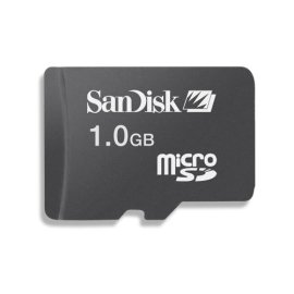 SanDisk 1 GB MicroSD Card