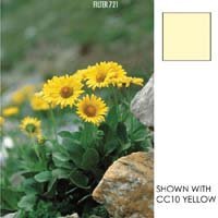 Cokin Yellow Color Correction Filter CC40Y, Series A