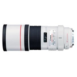 Canon EF 300mm f/4L IS USM Telephoto Lens for Canon SLR Cameras