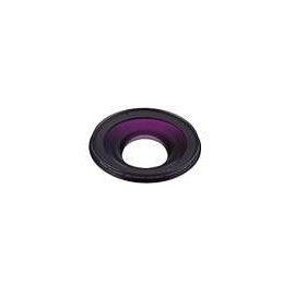 Raynox 0.3X Semi-Fisheye Ultra-Wide-Angle Lens for Video Lenses with 58mm Mounting Threads