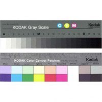 Kodak Color Separation Guide with Grey Scale, 8 Size, #Q-13