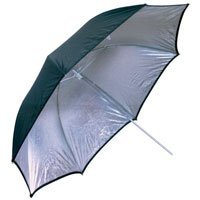 NRG 25 Hex Umbrella, Silver