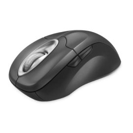 Microsoft Wireless Optical Mouse 5000 - Platinum