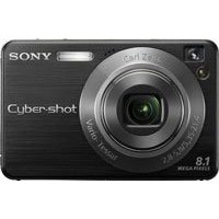 Sony Cybershot DSC-W130 8.1MP Digital Camera with 4x Optical Zoom with Super Steady Shot (Black)