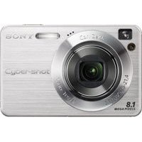 Sony Cybershot DSC-W130 8.1MP Digital Camera with 4x Optical Zoom with Super Steady Shot (Silver)