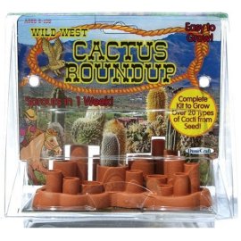 Wild West Cactus Round-up