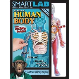 Smart Lab You Explore It: Human Body Model