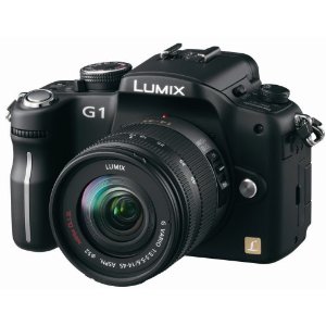 Panasonic Lumix DMC-G1 12.1MP SLR Camera with Lumix G Vario 14-45mm f/3.5-5.6 ASPH Mega OIS Lens (Black)
