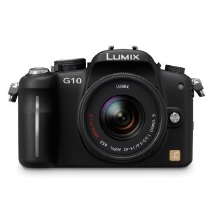Panasonic Lumix DMC-G10 12.1MP Live MOS Interchangeable Lens Camera with 14-42mm Lumix G Vario f/3.5-5.6 Lens