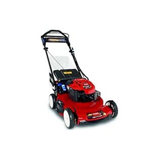 Toro Recycler 22 Personal Pace Briggs & Stratton 190cc Lawn Mower with Electric Start (20334)