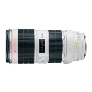 Canon EF 70-200mm f/2.8L II IS USM Telephoto Zoom Lens for Canon SLR Cameras (2751B002)