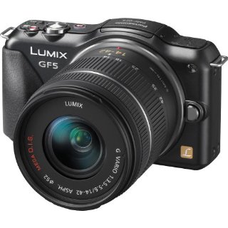 Panasonic Lumix DMC-GF5 12MP Compact Camera with 14-42 Zoom Lens (DMC-GF5KK)