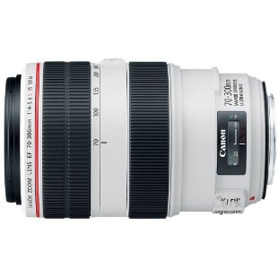 Canon EF 70-300mm f/4-5.6L IS USM UD Telephoto Zoom Lens for Canon EOS SLR Cameras (4426B002)