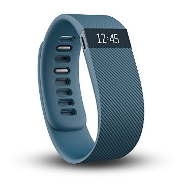 Fitbit Charge Wireless Activity Wristband (Slate, Large)