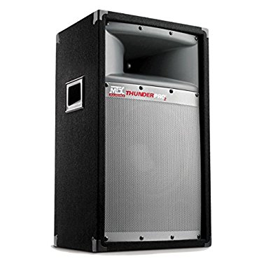 MTX Thunder Pro2 10 2-Way 200-Watt Full-Range Cabinet Loudspeaker