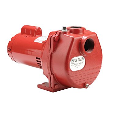 Red Lion RLSP-150 1-1/2-HP 50-GPM Cast Iron Sprinkler Pump