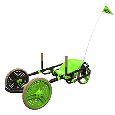 Y-Bike Explorer 2.0 Kids 3-Wheel Ride-On Go-Kart Bicycle (Green)