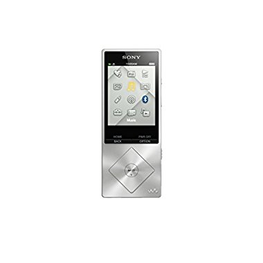 Sony Walkman NWZA17SLV 64 GB Hi-Res Digital Music Player (Silver)