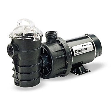 Pentair 340103 Stainless Steel Black Dynamo Single Speed Pump without Cord, 3/4-HP