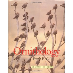 Ornithology : Michelangelo, Florence, and the David 1492-1504