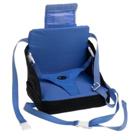 On-The-Go Booster Seat