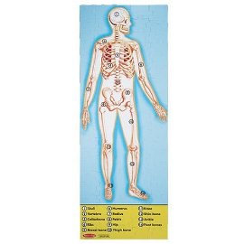 100-piece Deluxe Double-Sided Human Body Cardboard Floor Puzzle
