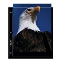 Print File Archival Photo Pages Holds Two 8" x 10" Prints, with Black Background Pack of 25