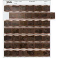 Print File Archival 35mm Size Negative Pages Holds Seven Strips of Six Frames, Pack of 100