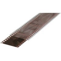 Print File Archival 35mm Size Negative Sleeving, 1,000 Foot Continuous Roll